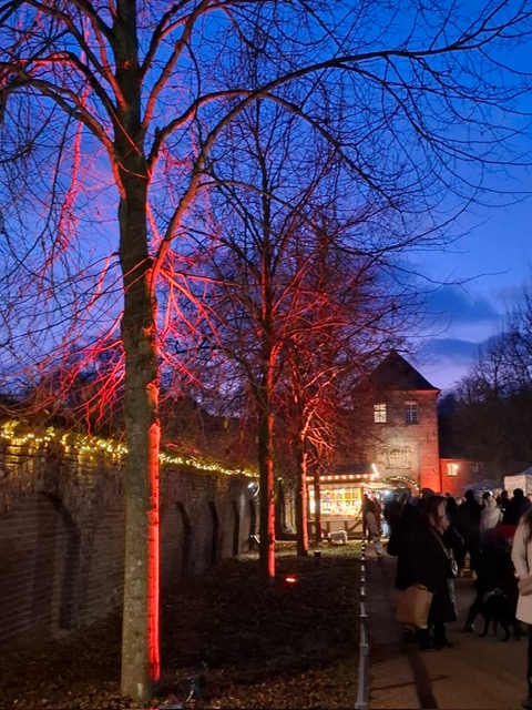 65ef5f58 580a 4719 b1be 9674f7f4deb0